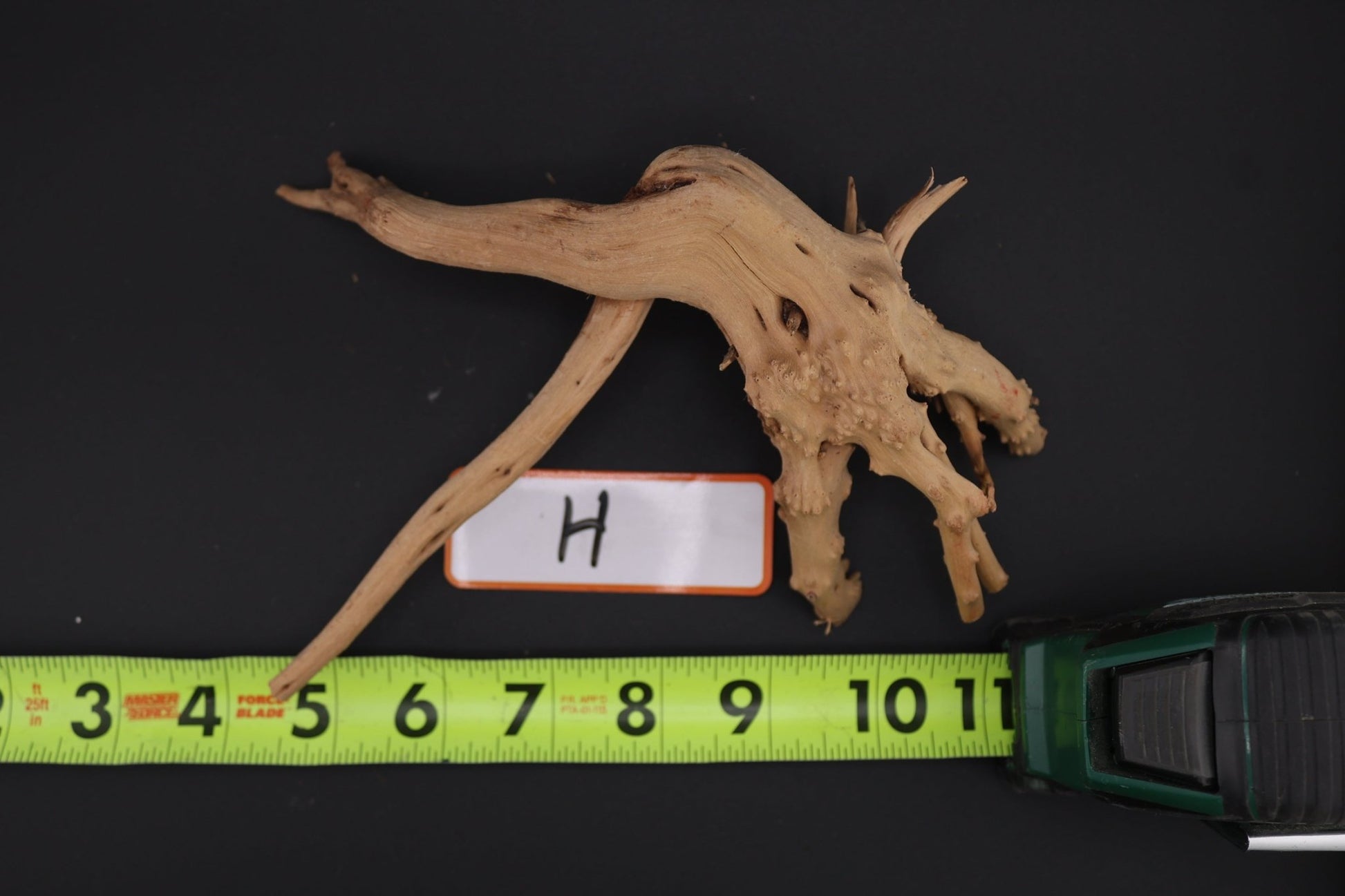 Spider Wood - Superior Shrimp & Aquatics