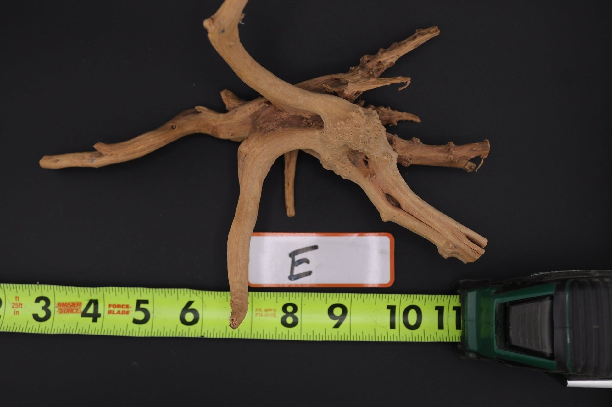 Spider Wood - Superior Shrimp & Aquatics