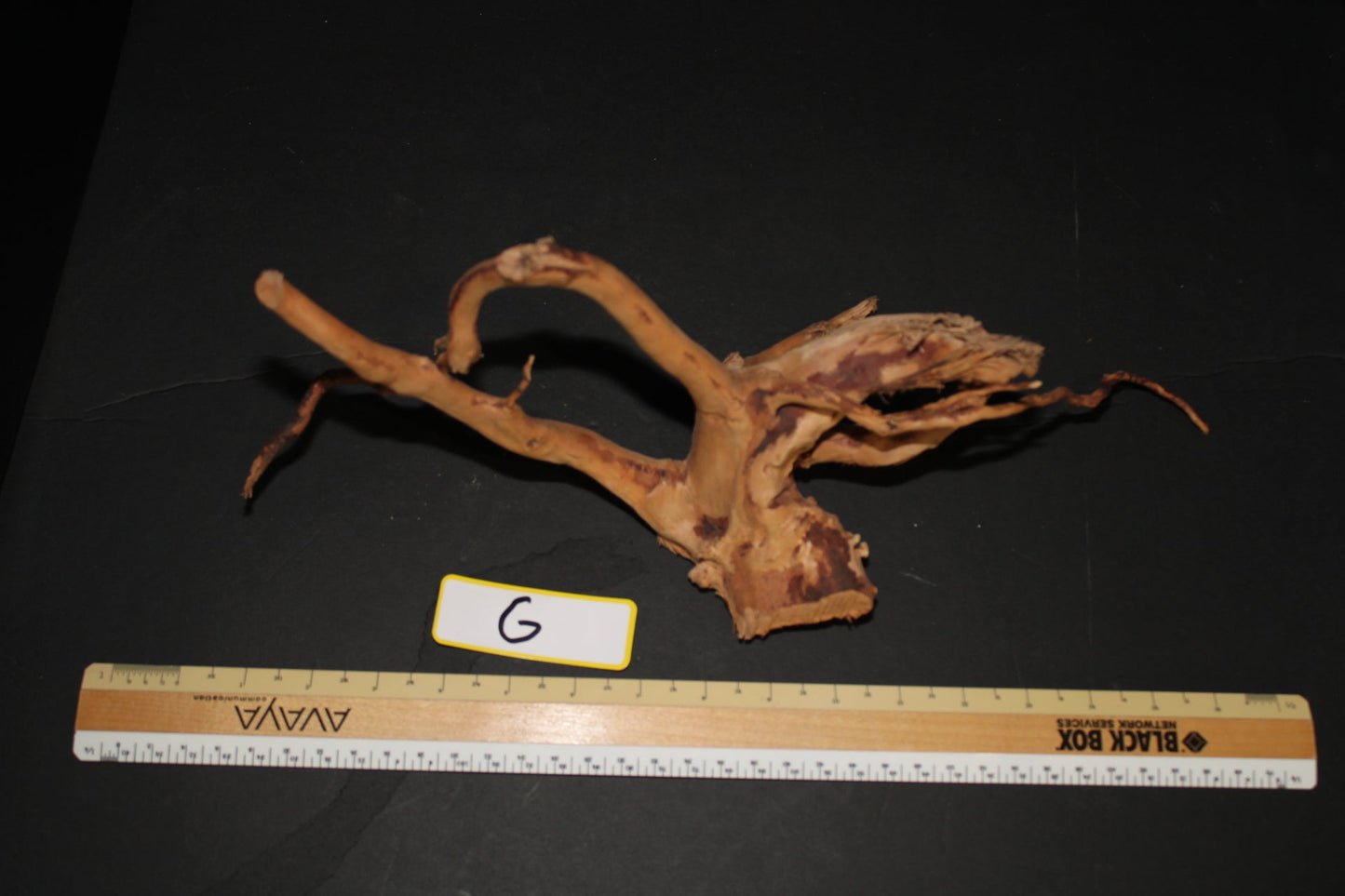 Spider Wood - Superior Shrimp & Aquatics