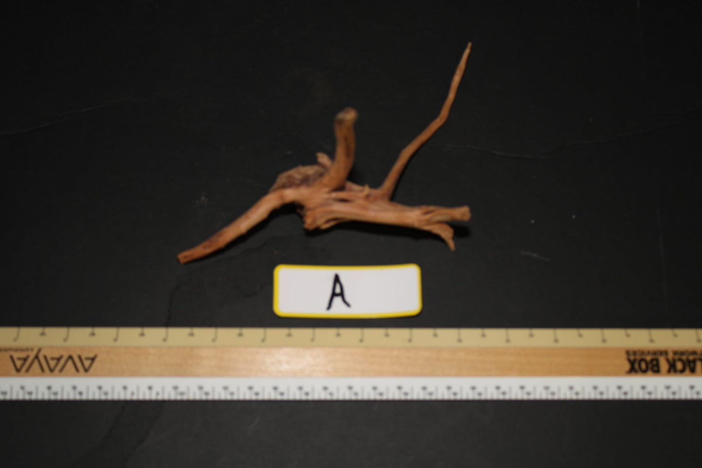 Spider Wood - Superior Shrimp & Aquatics