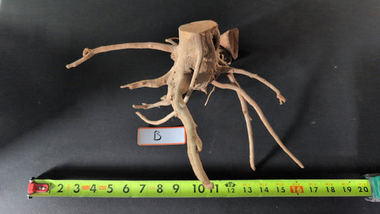 Spider Wood - Superior Shrimp & Aquatics