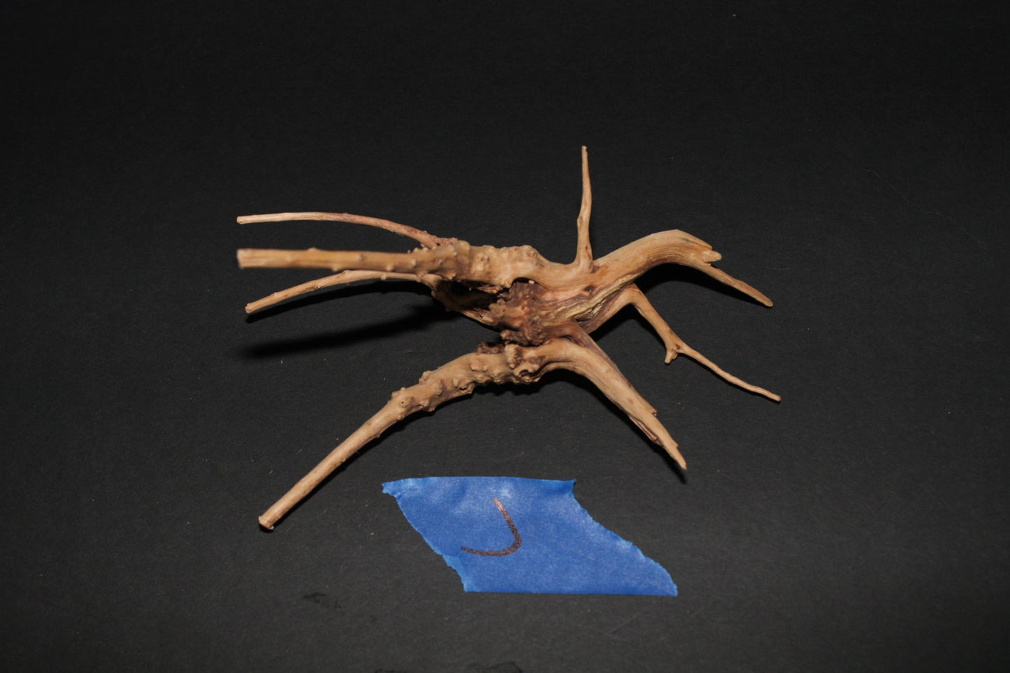 Spider Wood - Superior Shrimp & Aquatics