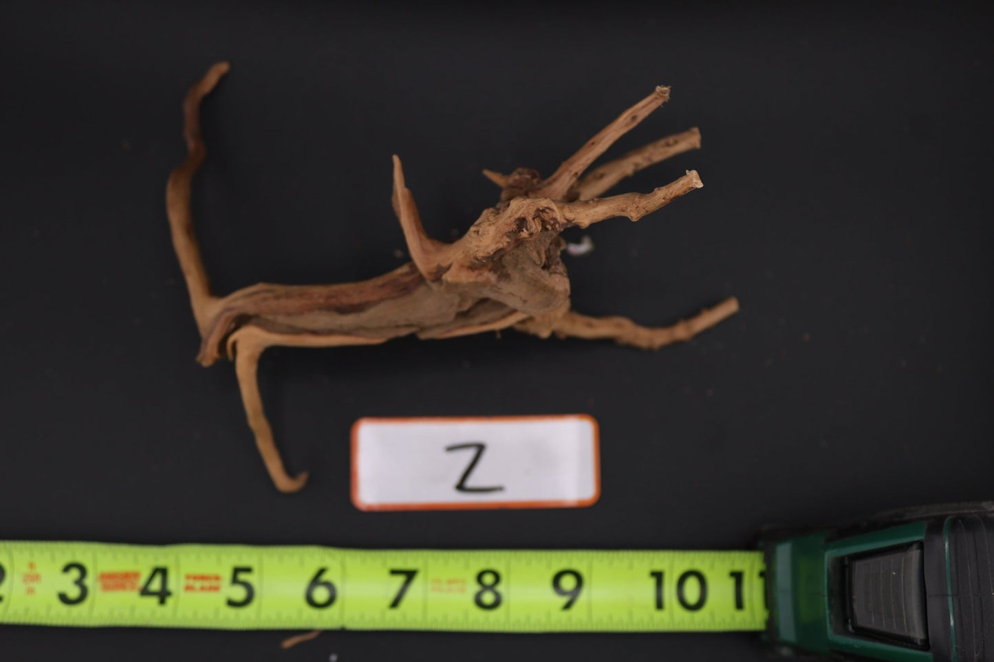 Spider Wood - Superior Shrimp & Aquatics