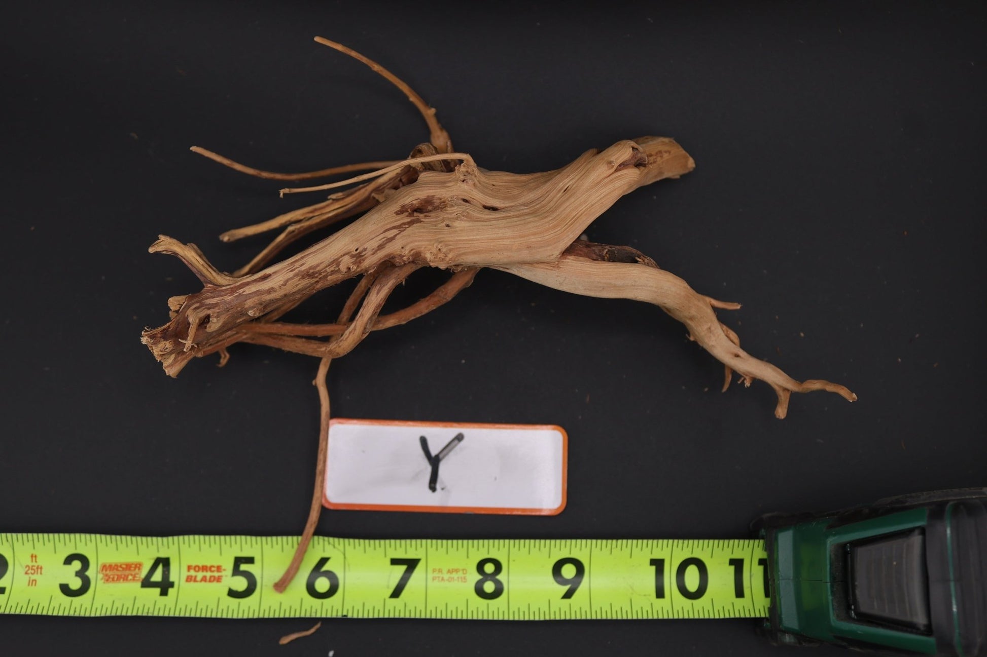 Spider Wood - Superior Shrimp & Aquatics