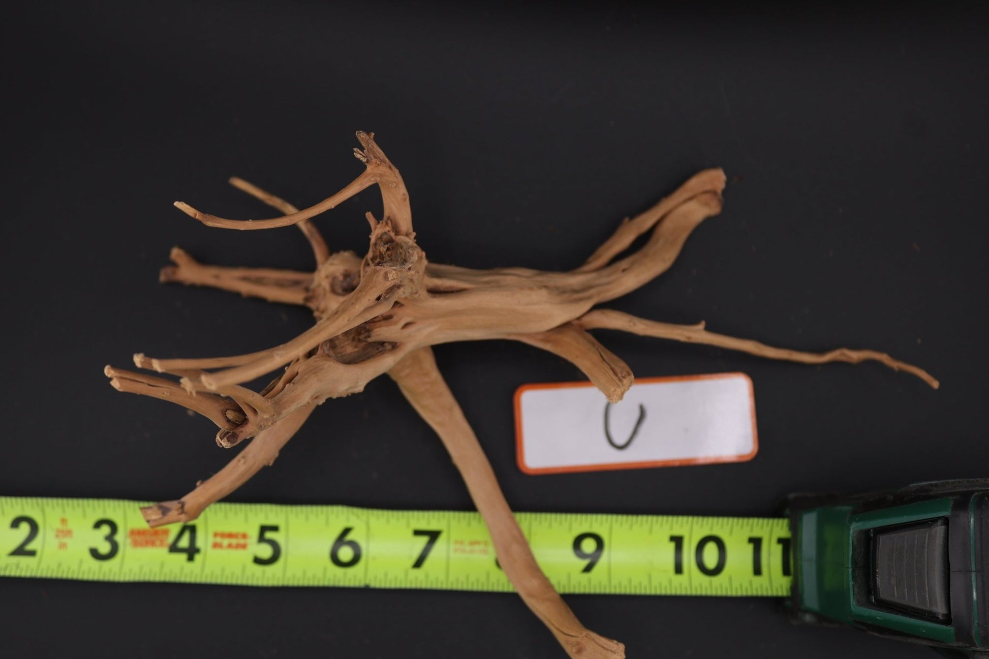 Spider Wood - Superior Shrimp & Aquatics