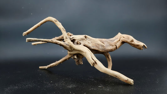 Spider Wood - Superior Shrimp & Aquatics