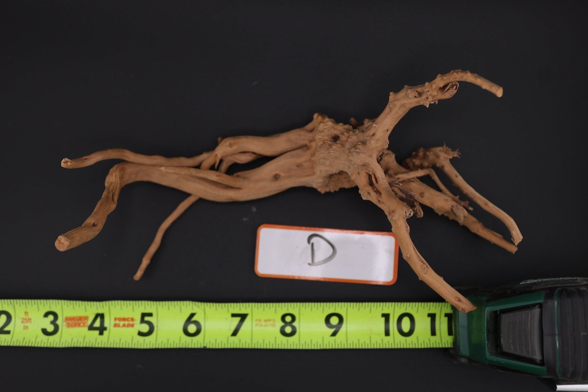 Spider Wood - Superior Shrimp & Aquatics