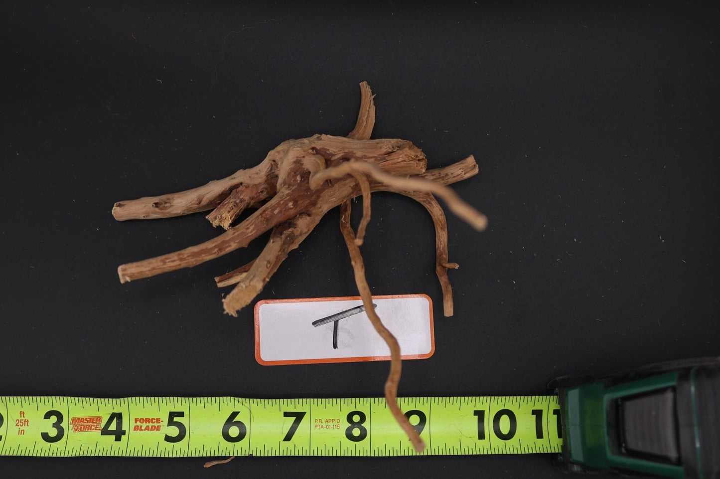 Spider Wood - Superior Shrimp & Aquatics