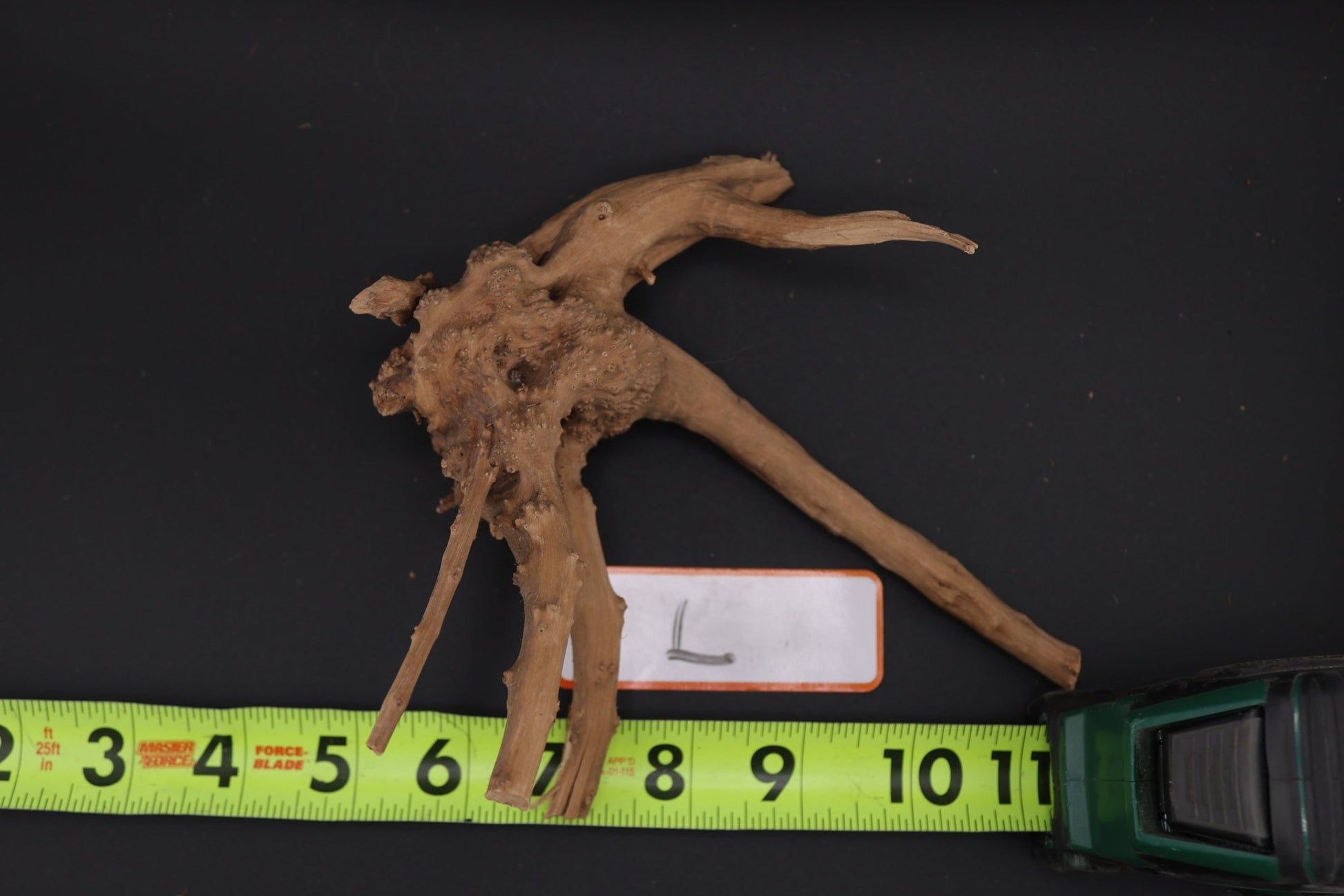 Spider Wood - Superior Shrimp & Aquatics