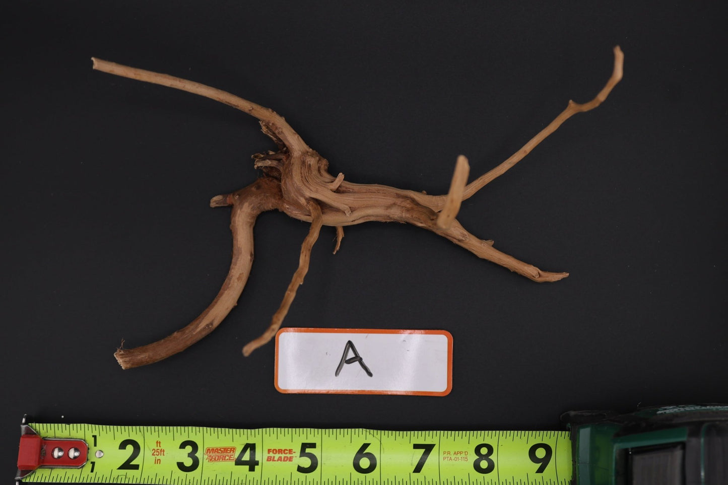 Spider Wood - Superior Shrimp & Aquatics