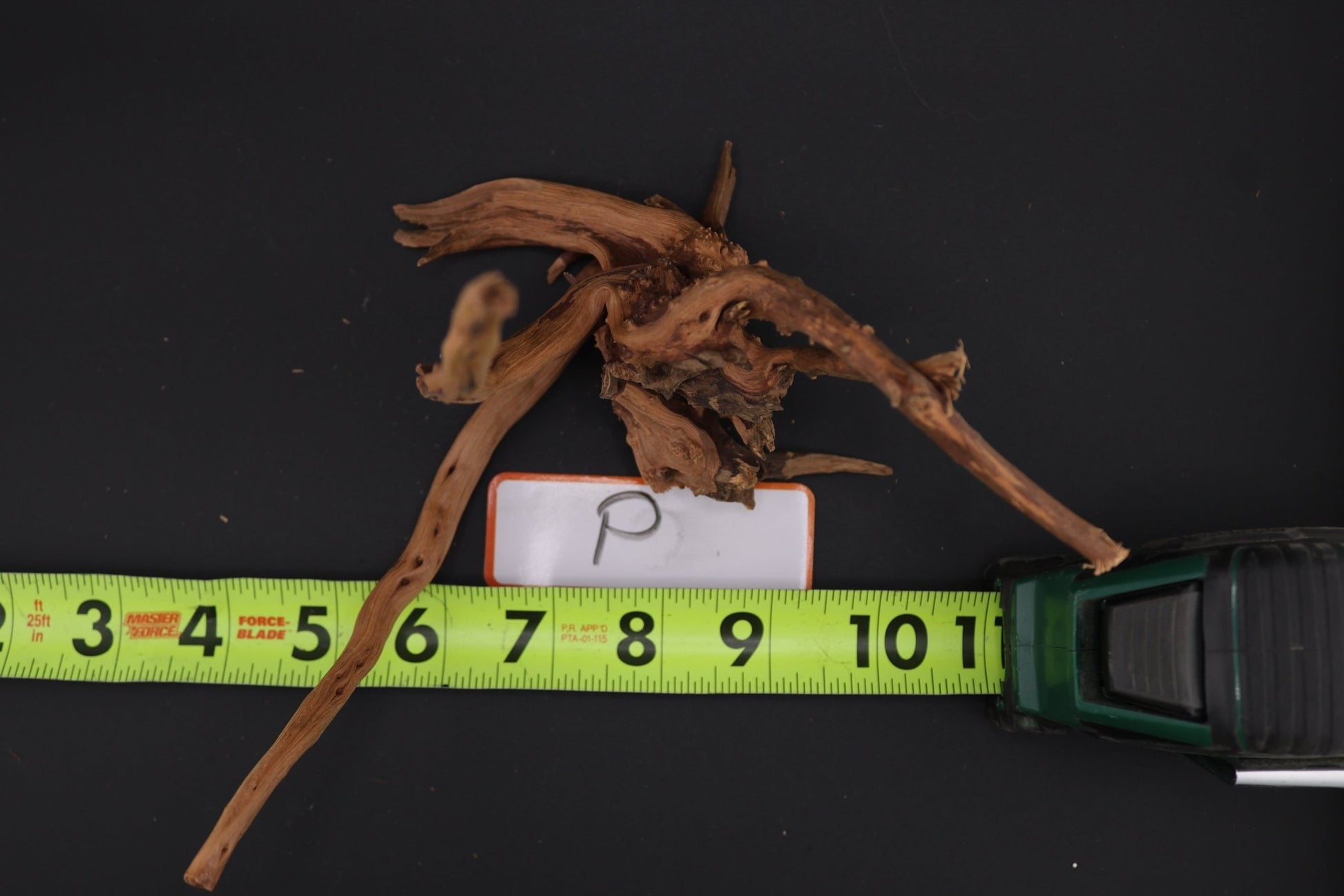 Spider Wood - Superior Shrimp & Aquatics