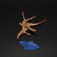 Spider Wood - Superior Shrimp & Aquatics