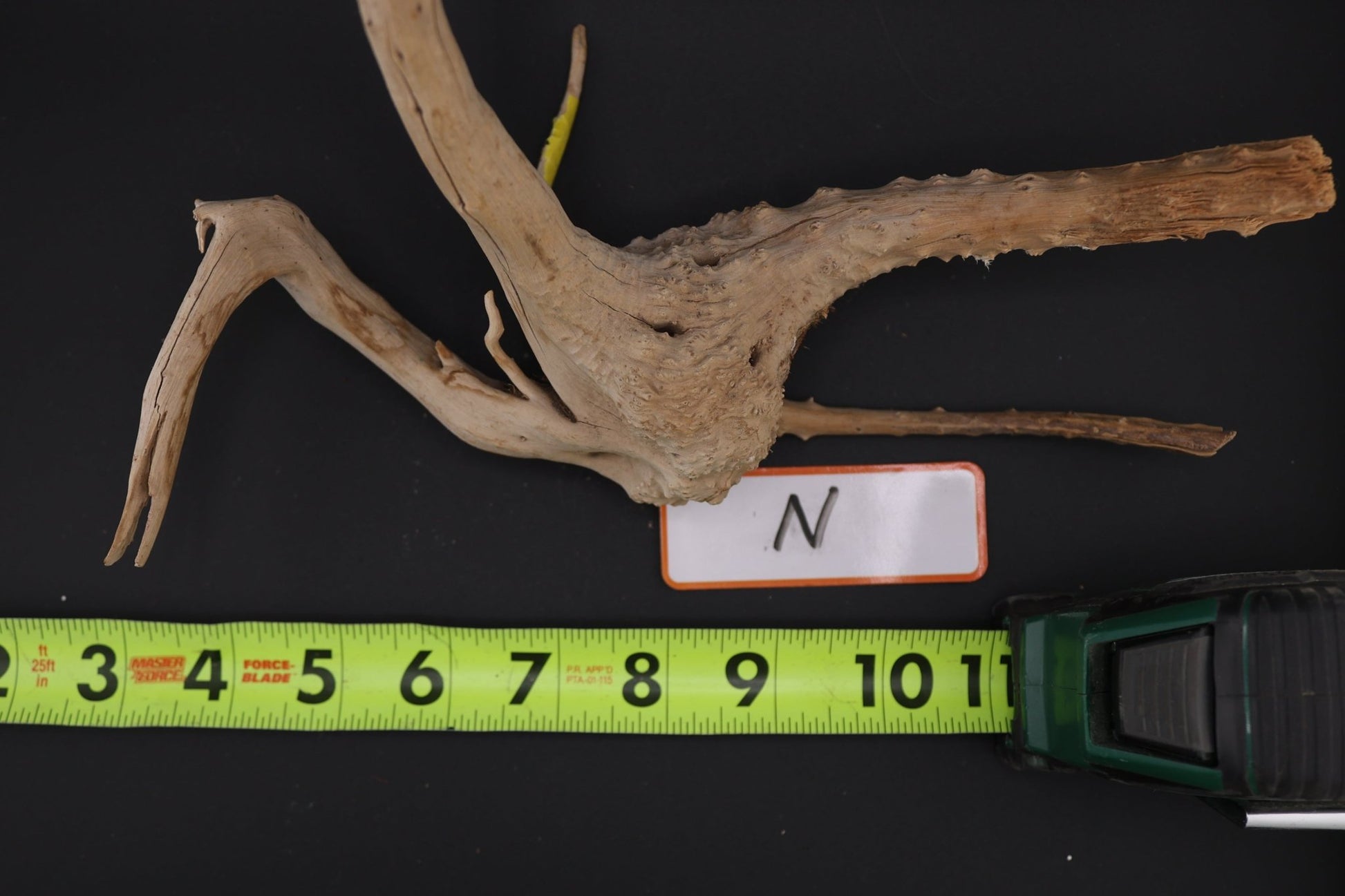 Spider Wood - Superior Shrimp & Aquatics