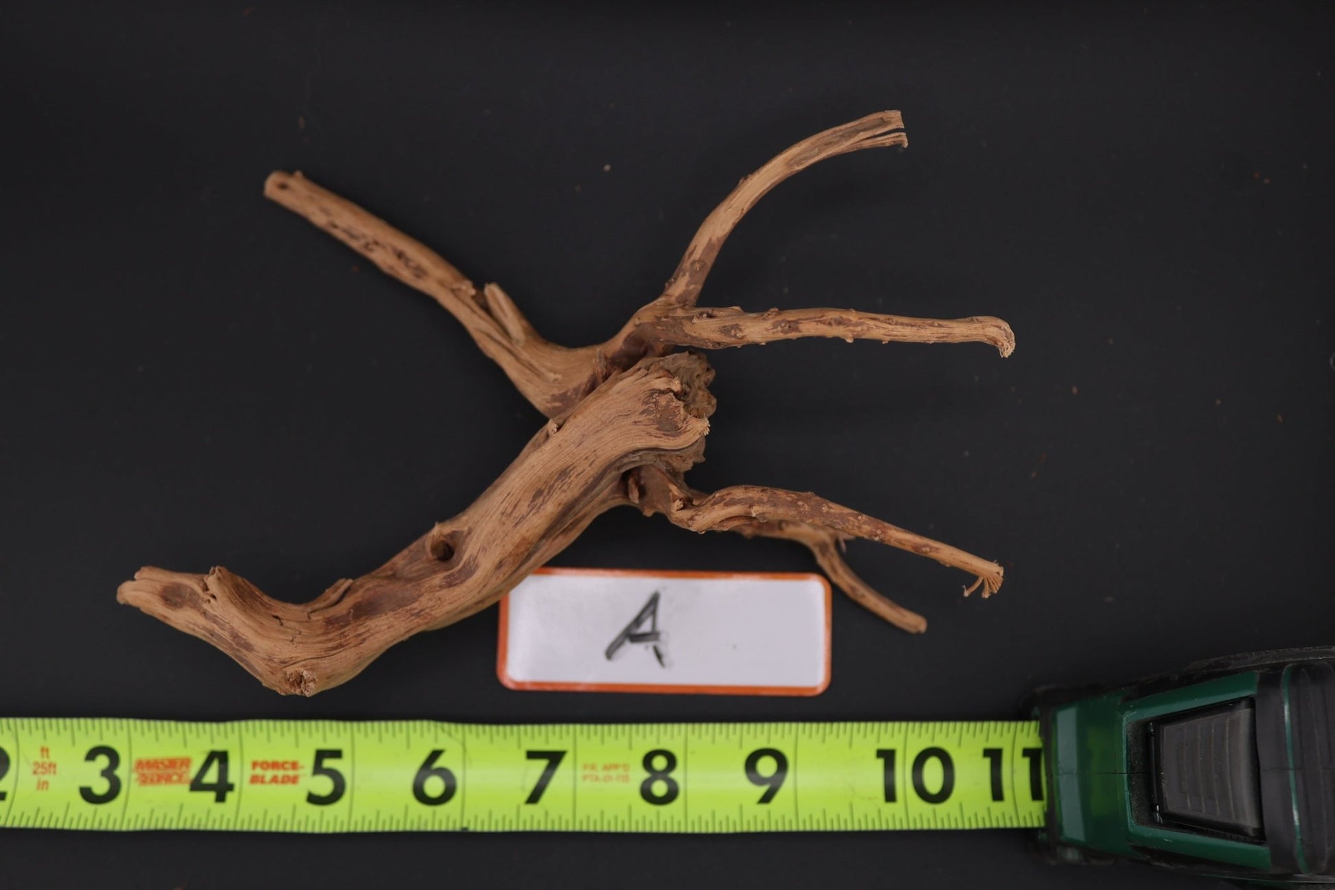 Spider Wood - Superior Shrimp & Aquatics