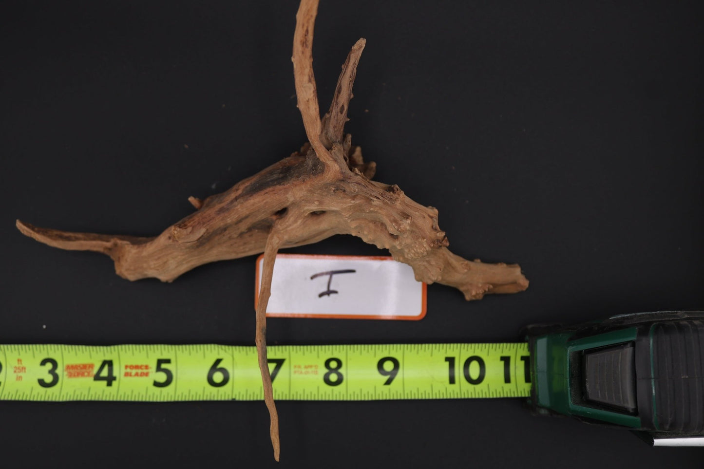 Spider Wood - Superior Shrimp & Aquatics