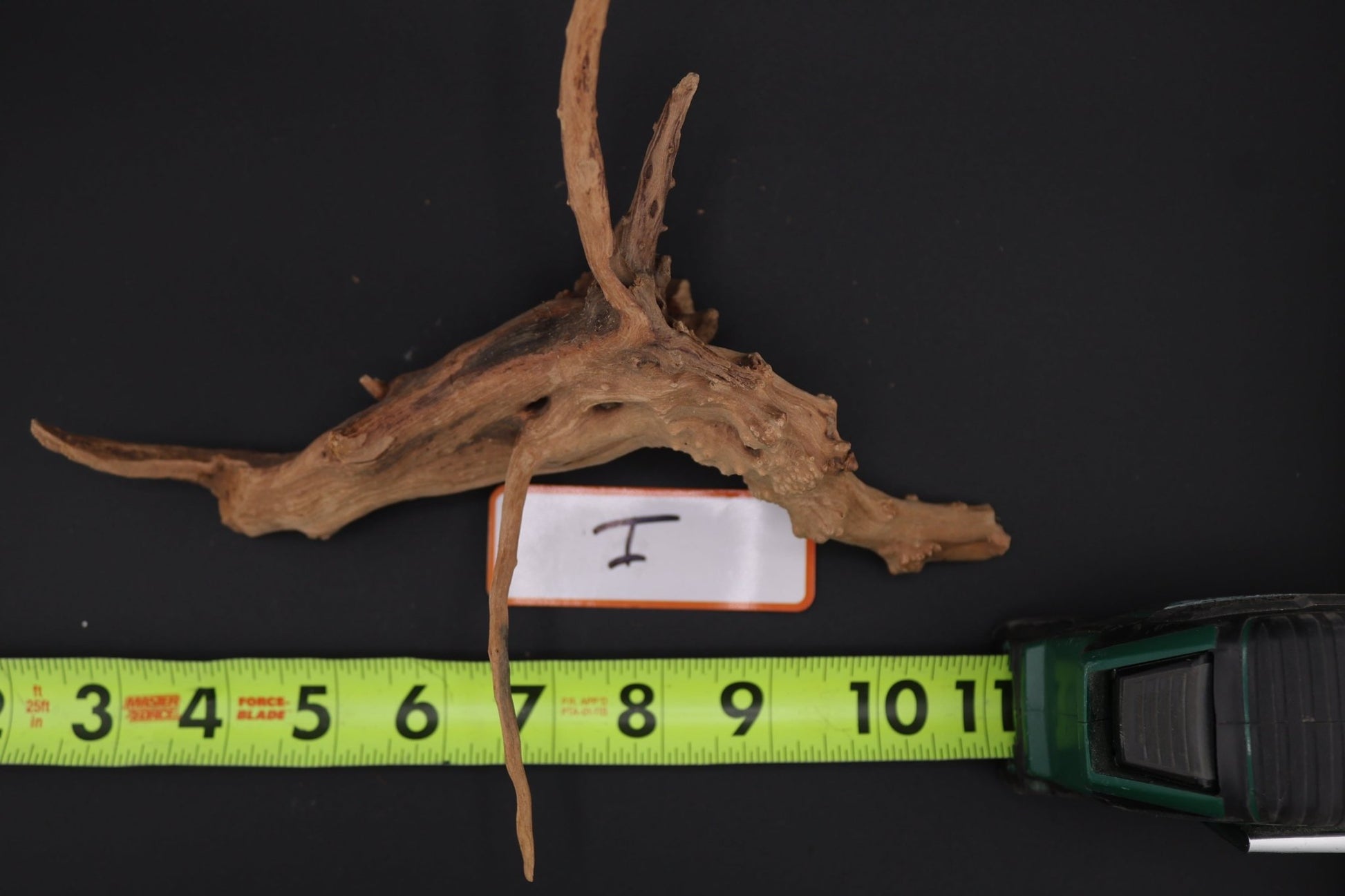 Spider Wood - Superior Shrimp & Aquatics