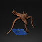 Spider Wood - Superior Shrimp & Aquatics
