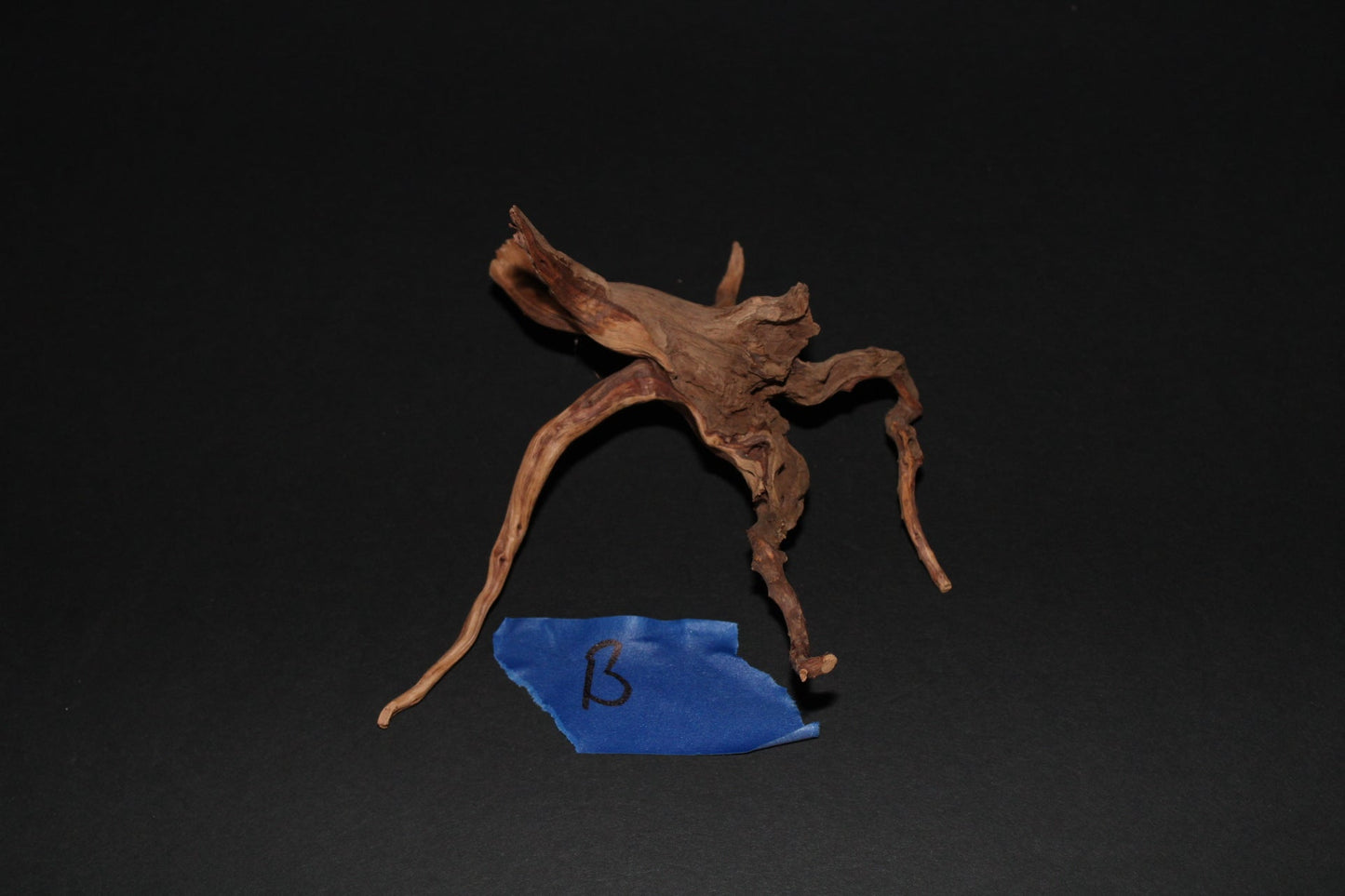 Spider Wood - Superior Shrimp & Aquatics