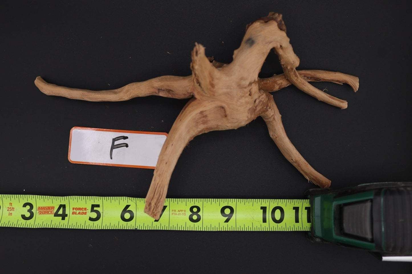 Spider Wood - Superior Shrimp & Aquatics