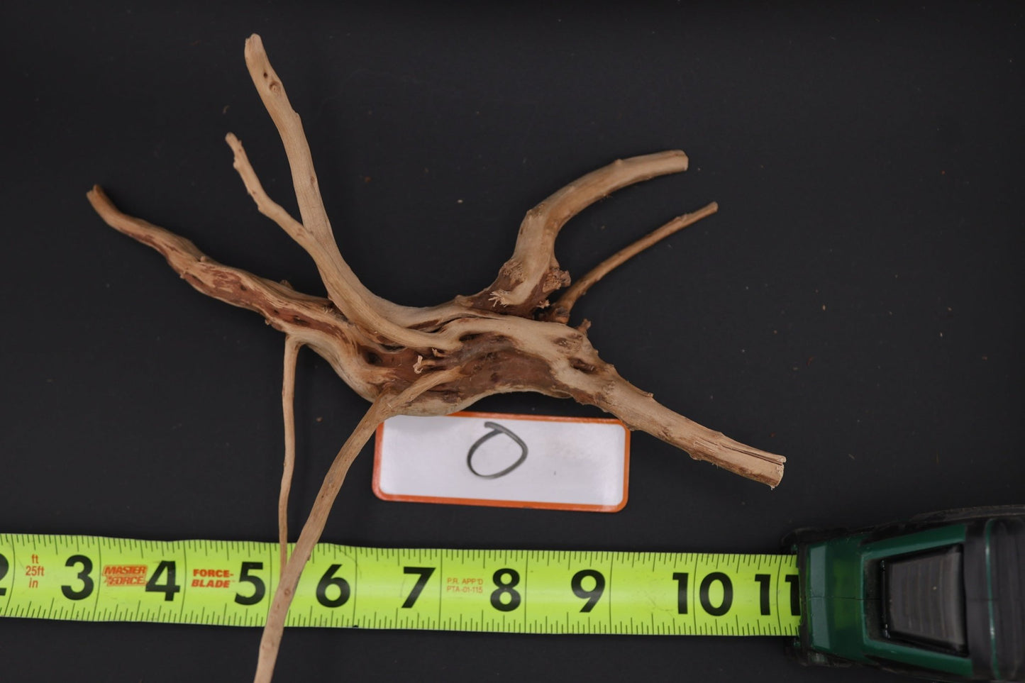 Spider Wood - Superior Shrimp & Aquatics