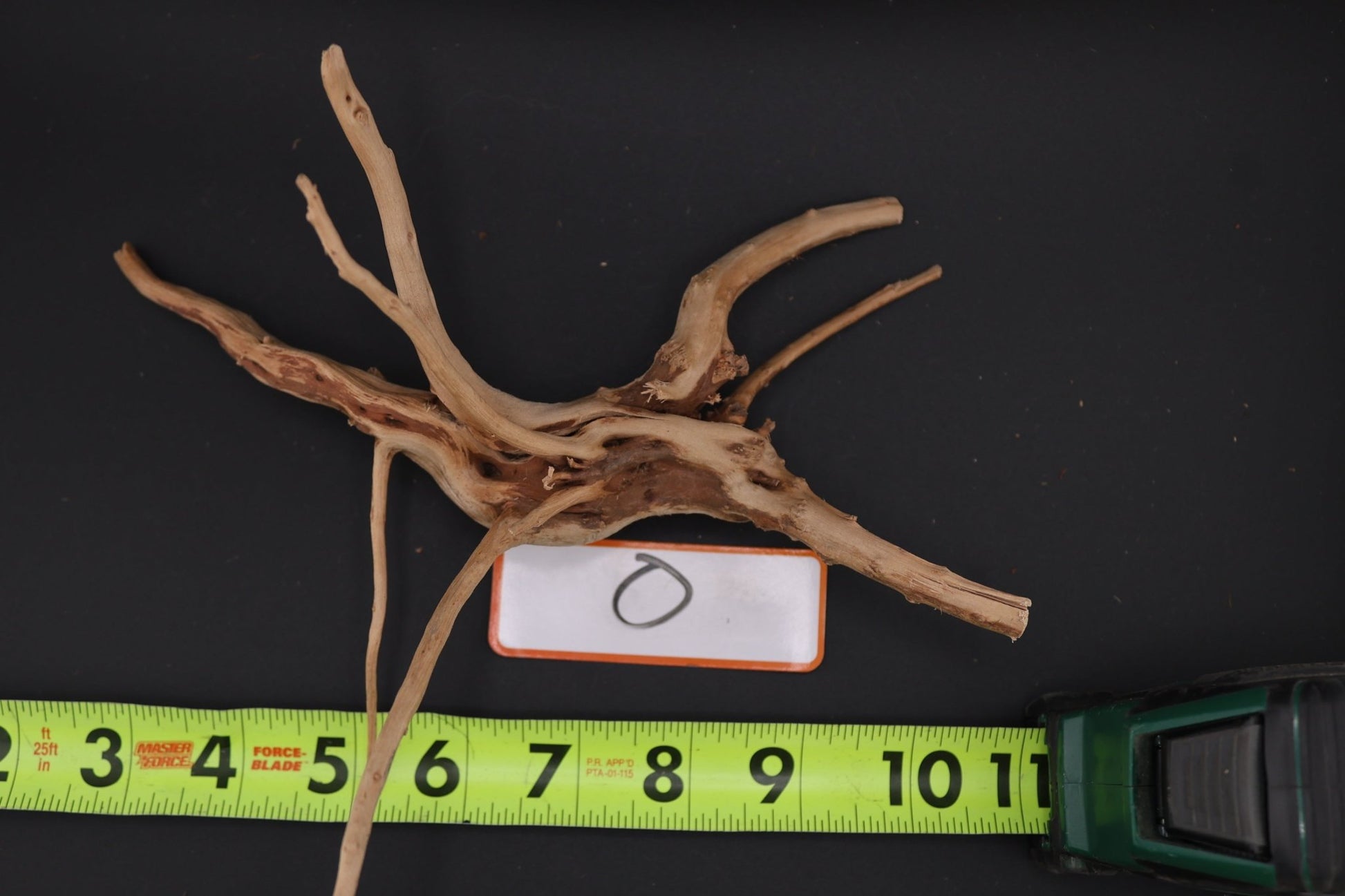 Spider Wood - Superior Shrimp & Aquatics