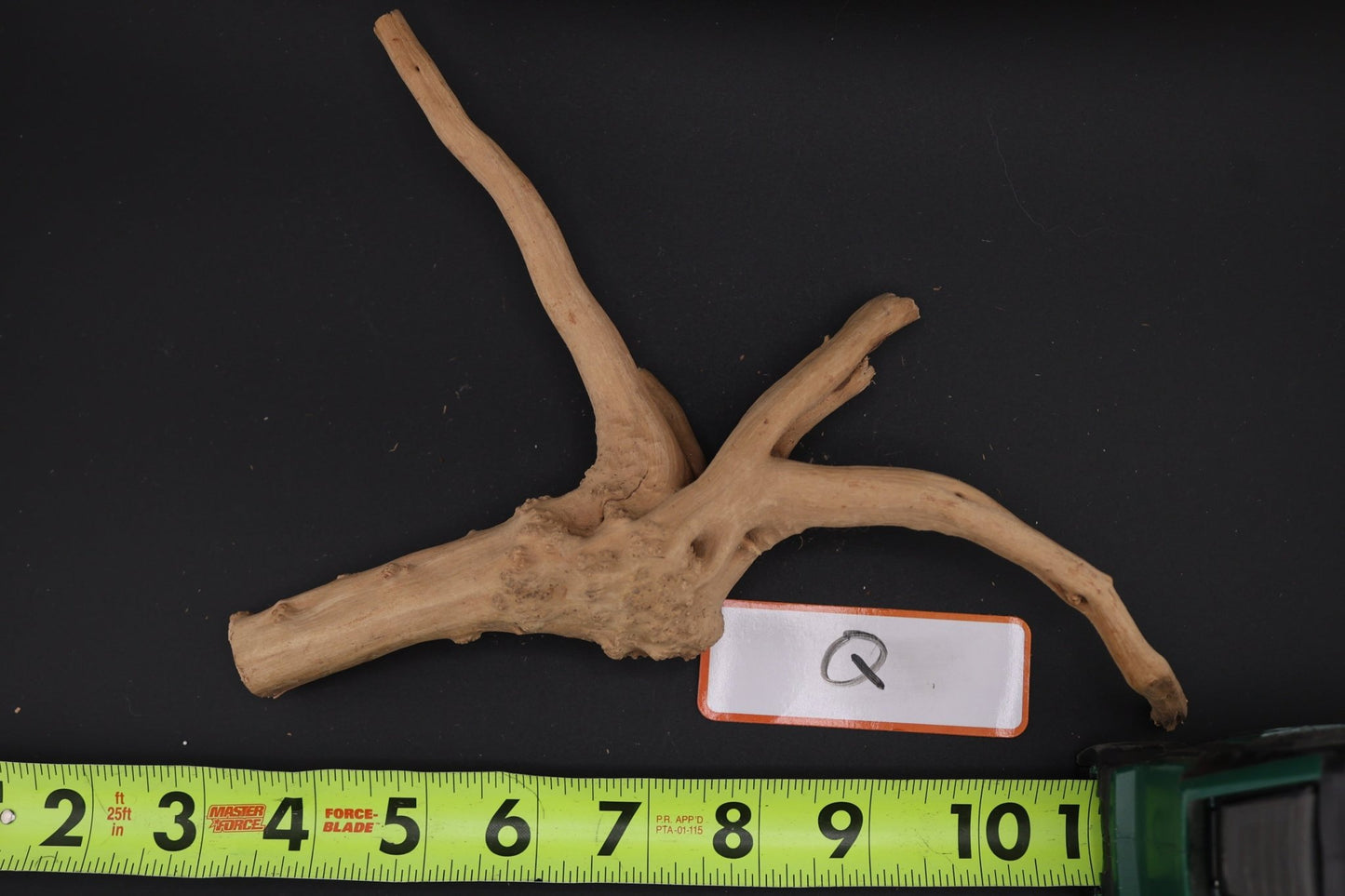 Spider Wood - Superior Shrimp & Aquatics