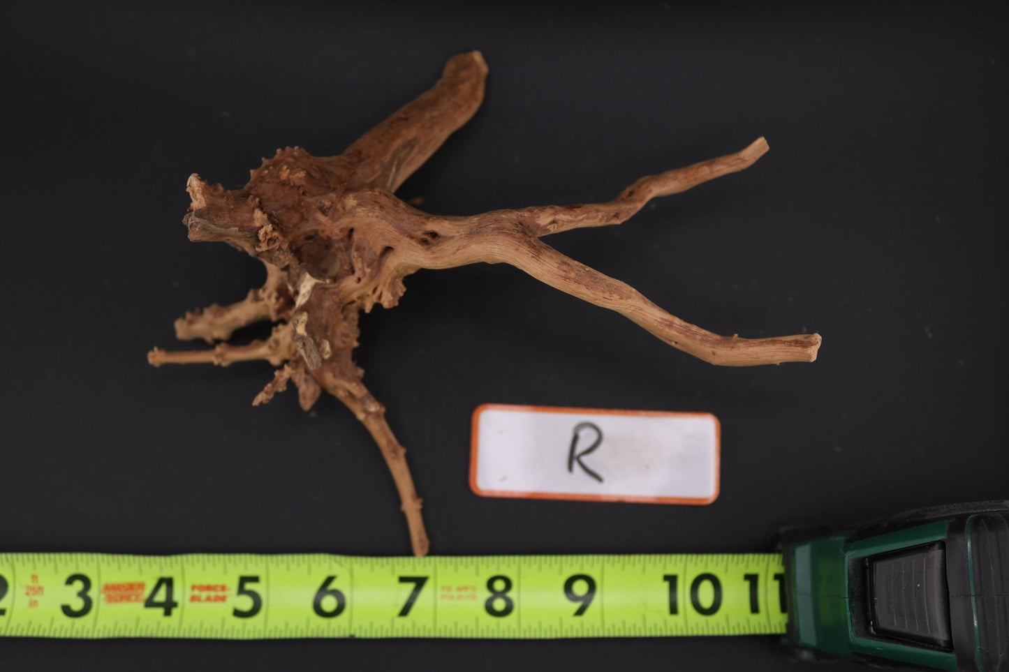 Spider Wood - Superior Shrimp & Aquatics