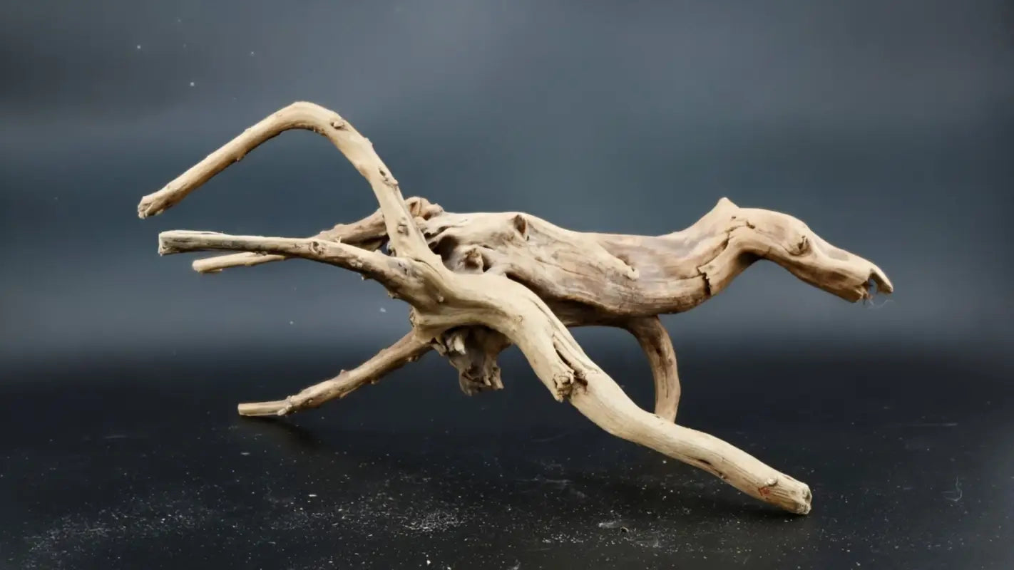 Spider Wood - Superior Shrimp & Aquatics