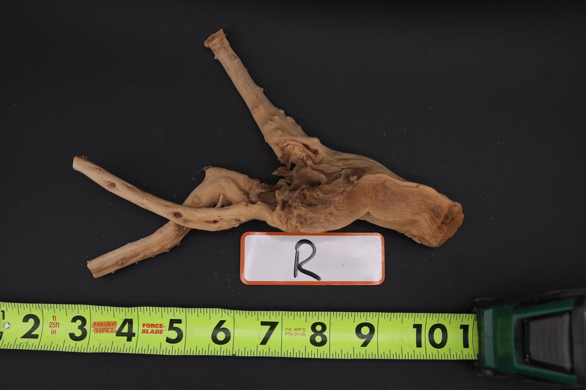 Spider Wood - Superior Shrimp & Aquatics