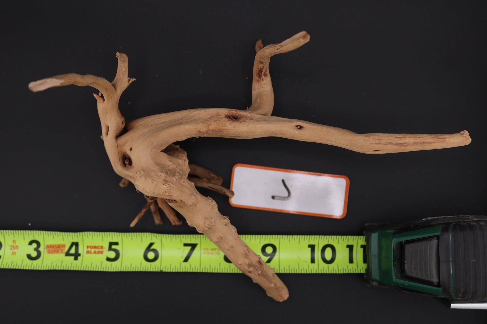 Spider Wood - Superior Shrimp & Aquatics