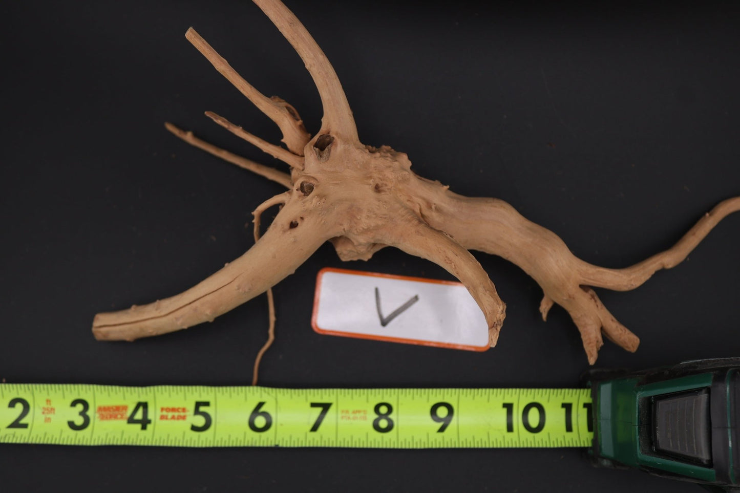 Spider Wood - Superior Shrimp & Aquatics