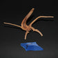 Spider Wood - Superior Shrimp & Aquatics