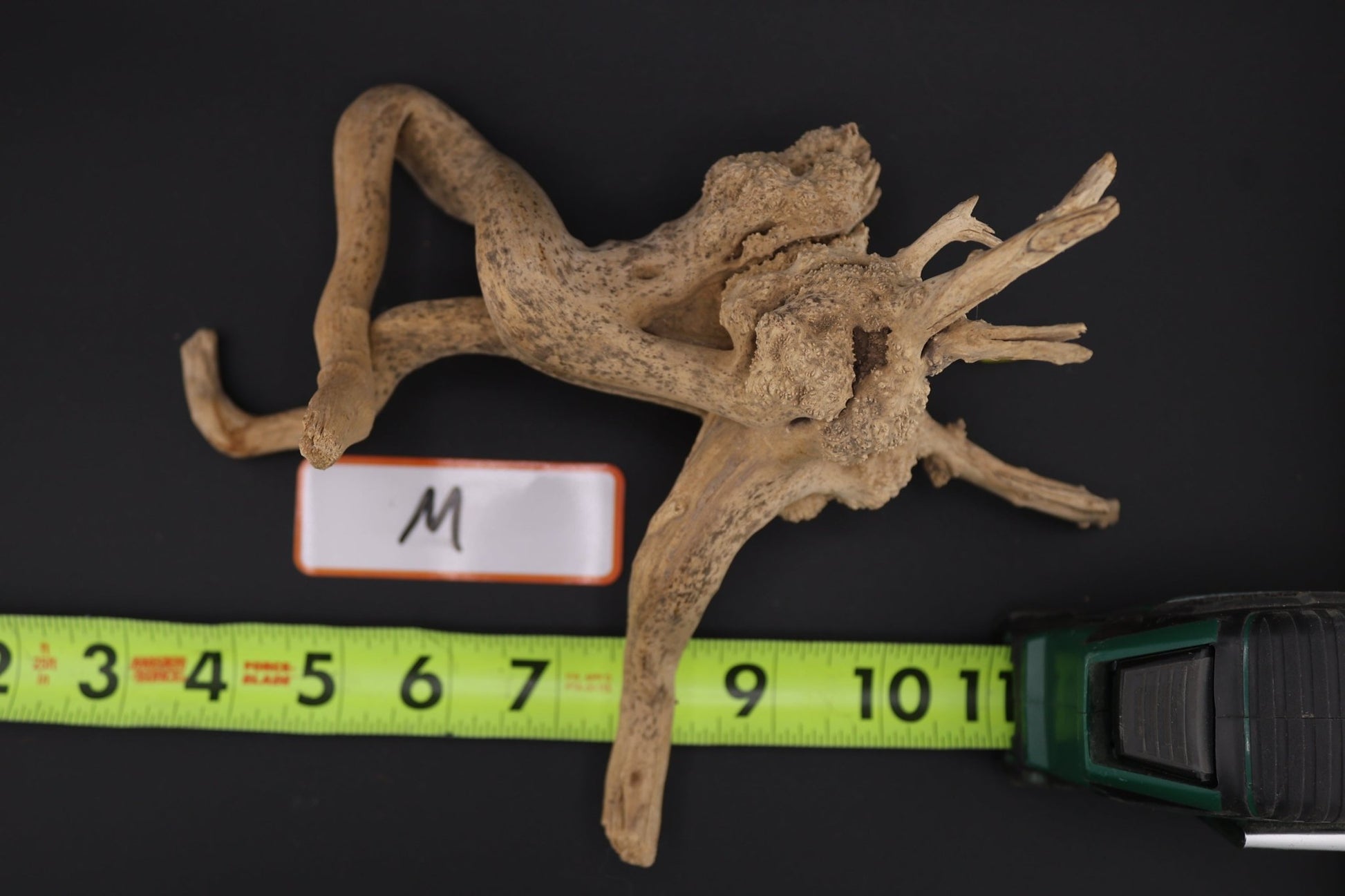 Spider Wood - Superior Shrimp & Aquatics