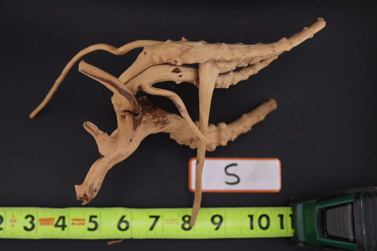 Spider Wood - Superior Shrimp & Aquatics