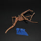Spider Wood - Superior Shrimp & Aquatics