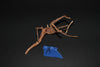 Spider Wood - Superior Shrimp & Aquatics