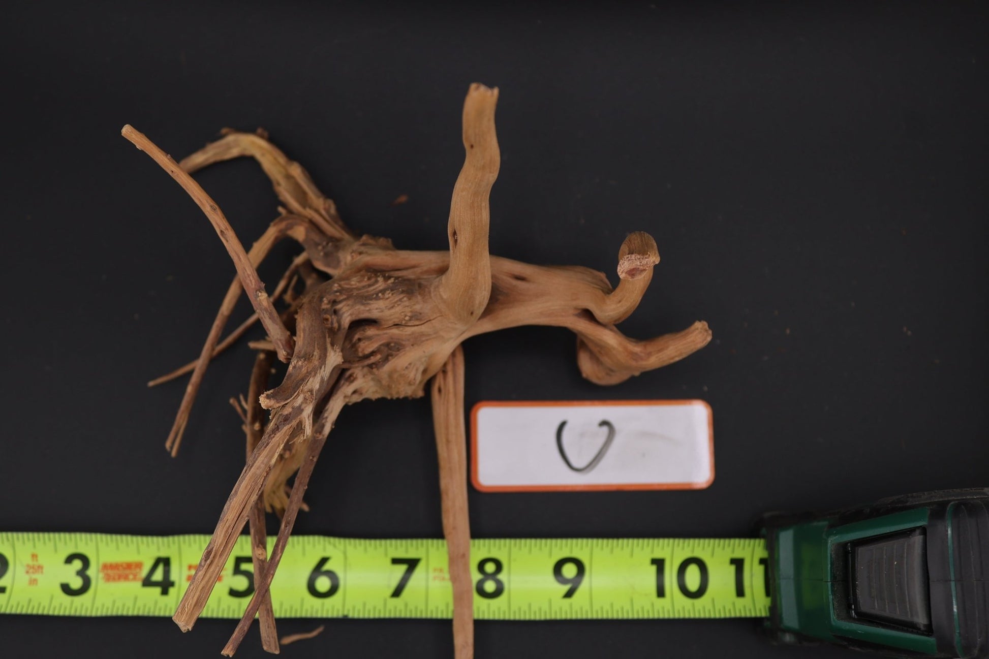 Spider Wood - Superior Shrimp & Aquatics