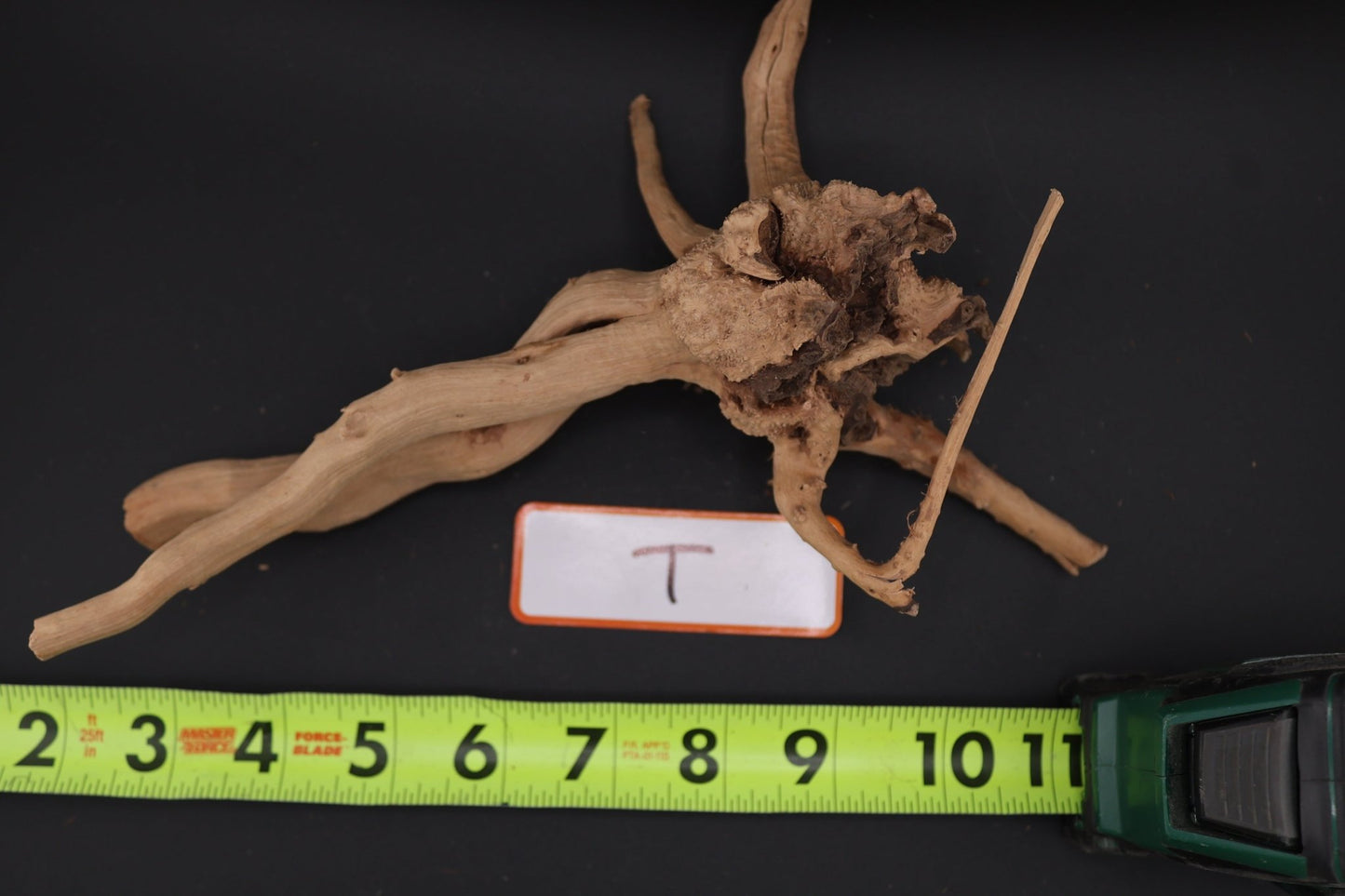 Spider Wood - Superior Shrimp & Aquatics