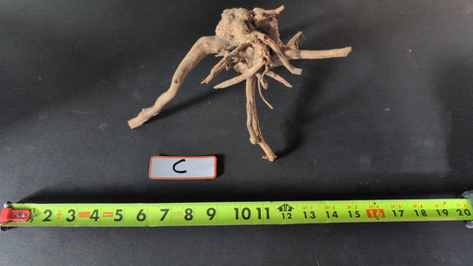 Spider Wood - Superior Shrimp & Aquatics