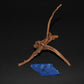 Spider Wood - Superior Shrimp & Aquatics