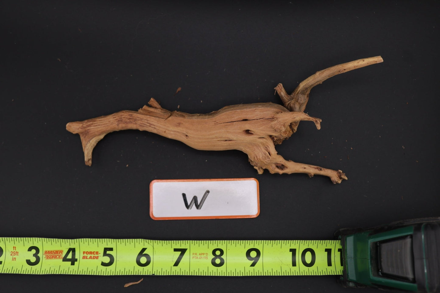 Spider Wood - Superior Shrimp & Aquatics