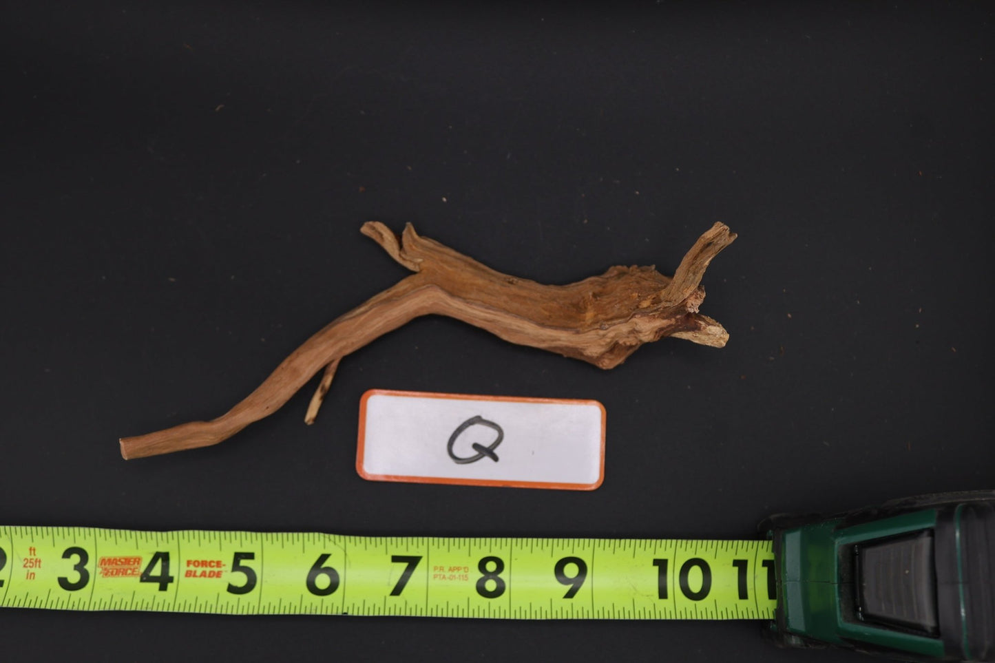 Spider Wood - Superior Shrimp & Aquatics