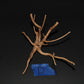 Spider Wood - Superior Shrimp & Aquatics