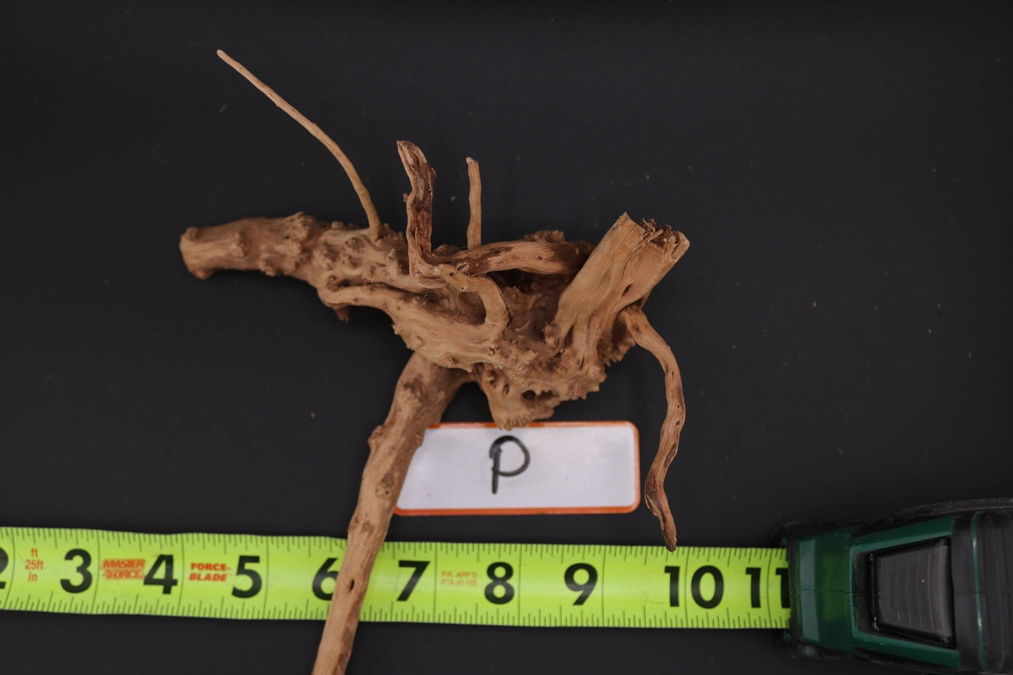 Spider Wood - Superior Shrimp & Aquatics