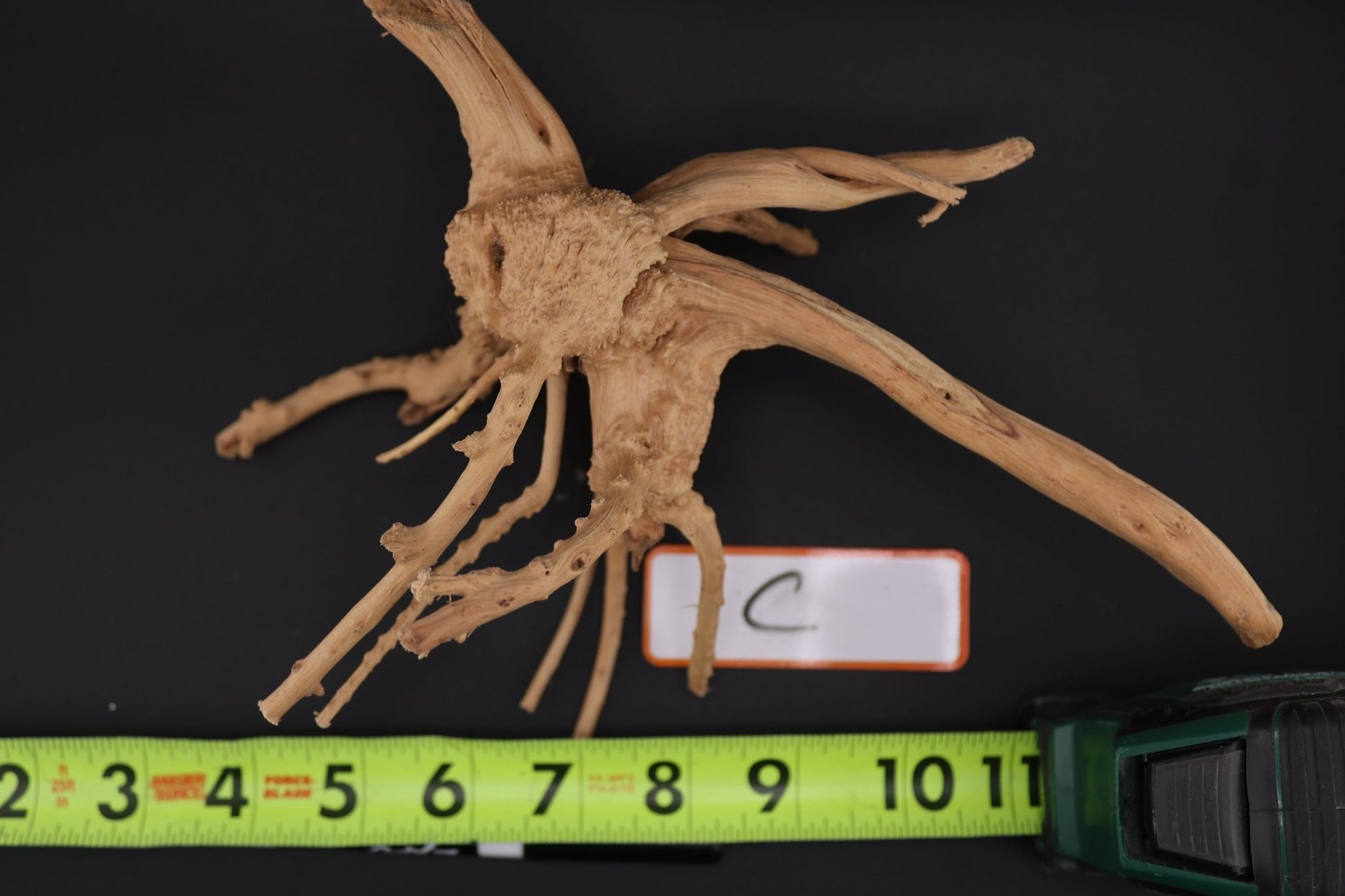 Spider Wood - Superior Shrimp & Aquatics