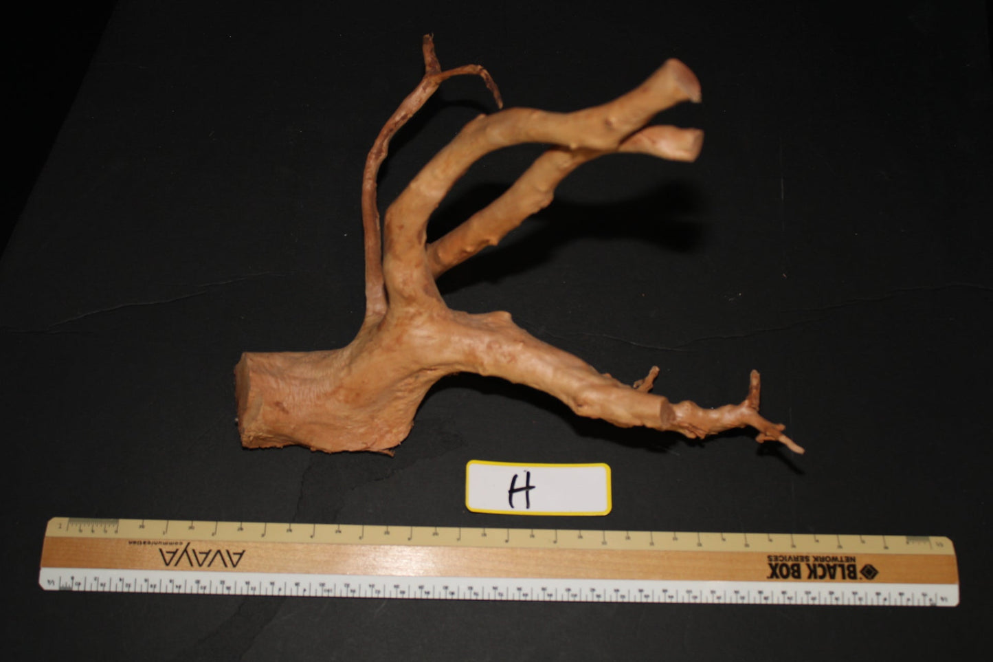 Spider Wood - Superior Shrimp & Aquatics