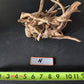 Spider Wood - Superior Shrimp & Aquatics