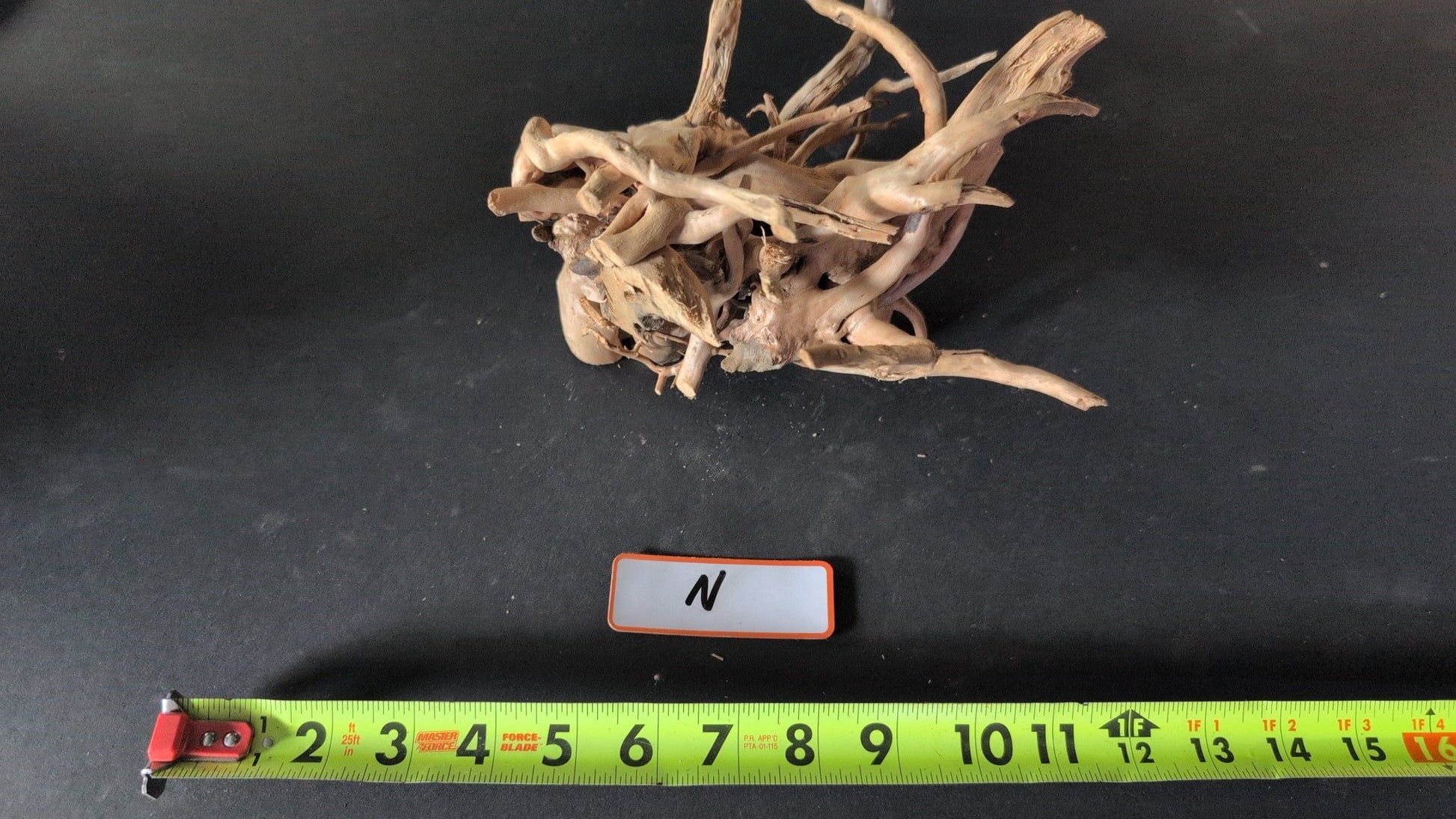 Spider Wood - Superior Shrimp & Aquatics