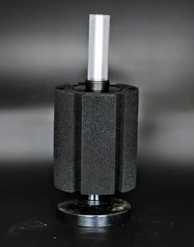 Sponge Filter - Superior Shrimp & Aquatics
