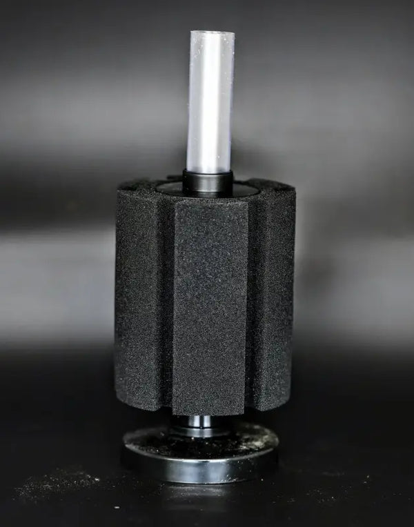 Sponge Filter - Superior Shrimp & Aquatics